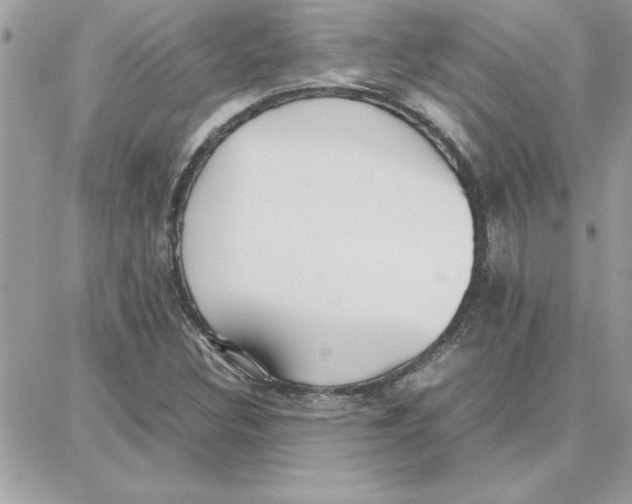 X0000087751308200706041051