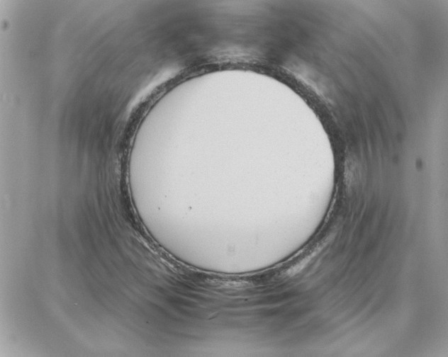 X0000087751309200706041051