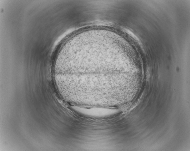 X0000087751310200706041052