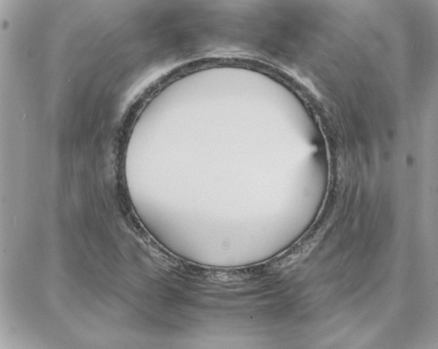 X0000087751311200706041052