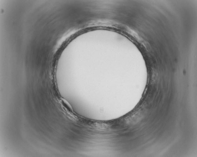 X0000087751312200706041052