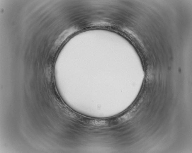 X0000087751313200706041052