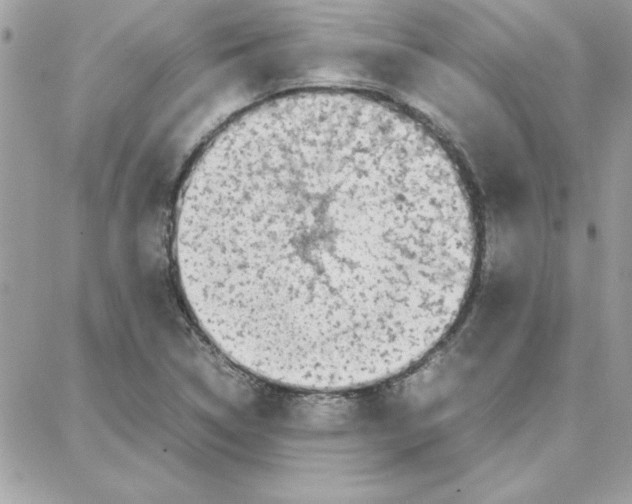 X0000087751314200706041052