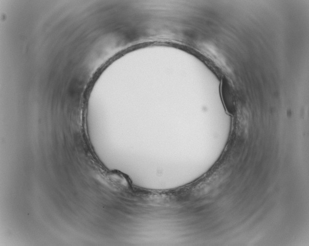 X0000087751316200706041052