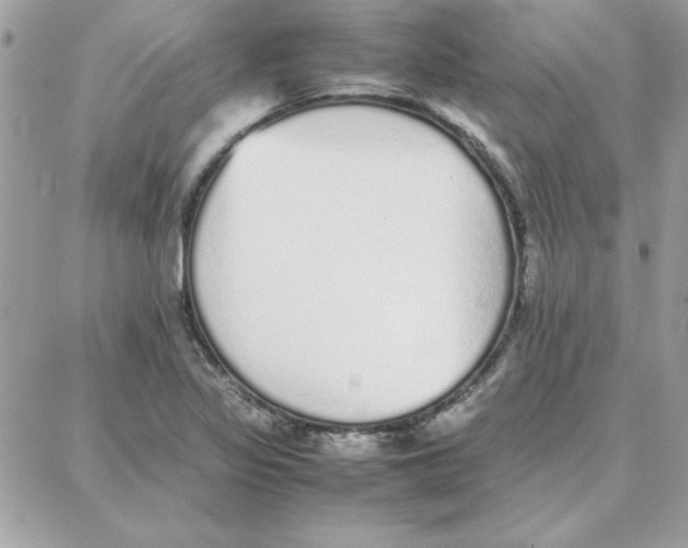 X0000087751317200706041052