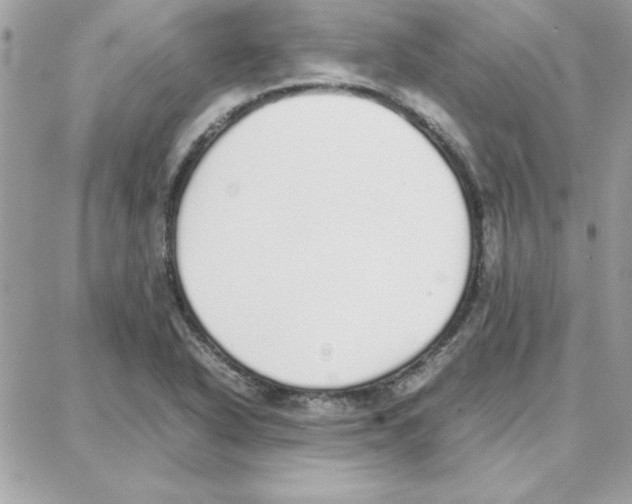 X0000087751318200706041052