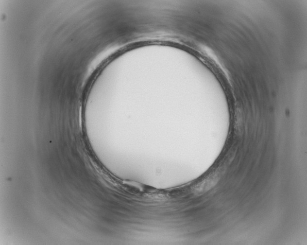 X0000087751320200706041052