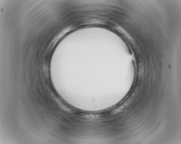 X0000087751321200706041052