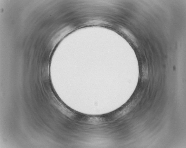 X0000087751322200706041052