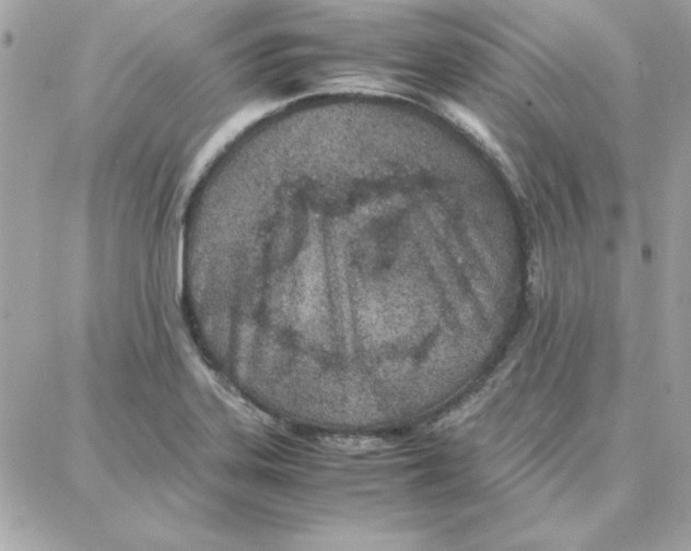 X0000087751323200706041052