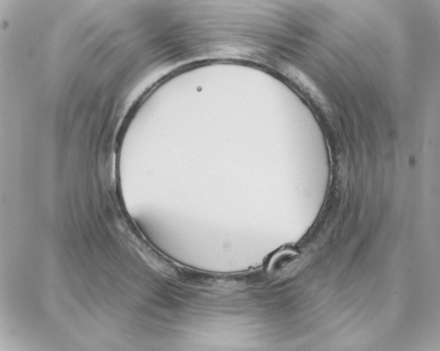 X0000087751324200706041052