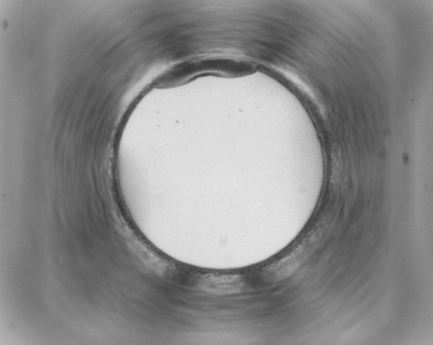 X0000087751325200706041052