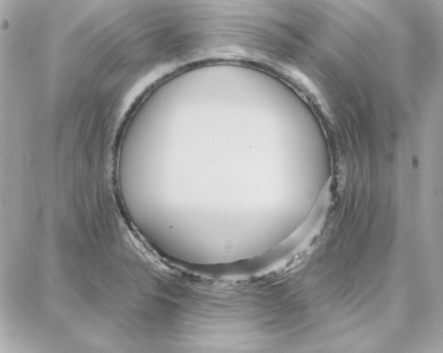 X0000087751326200706041052