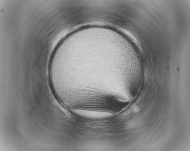 X0000087751327200706041052