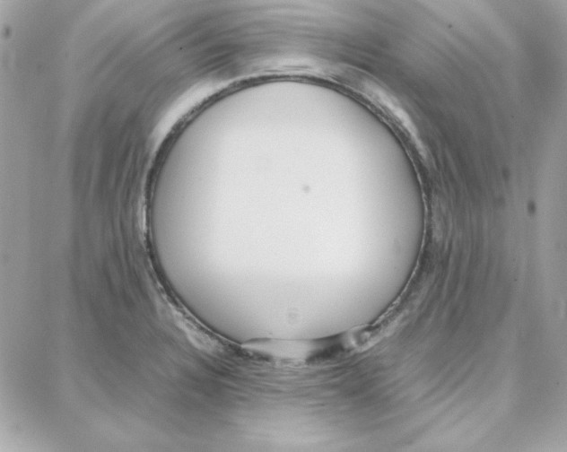 X0000087751328200706041052