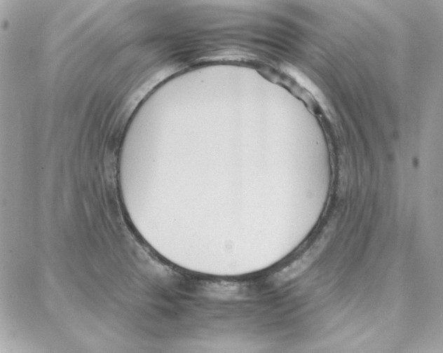 X0000087751329200706041052