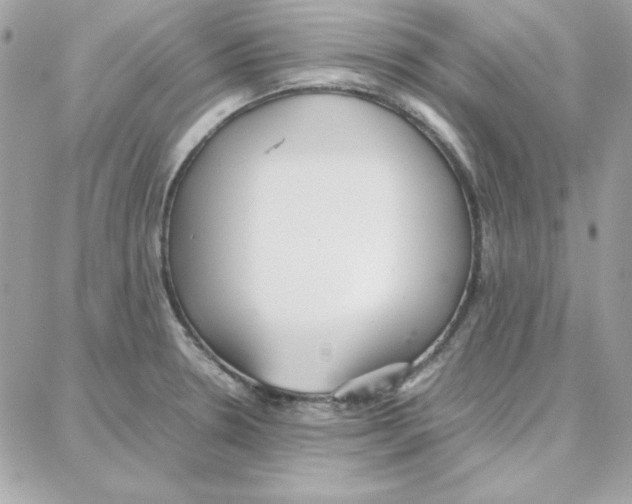 X0000087751330200706041052