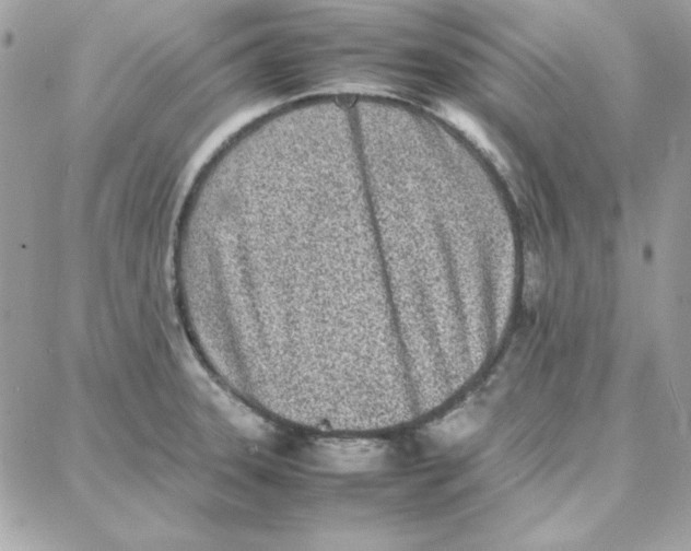 X0000087751331200706041052