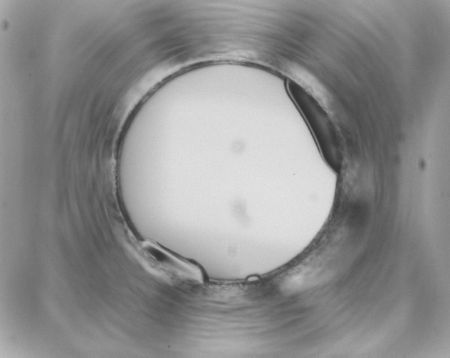 X0000087751332200706041052