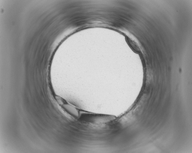 X0000087751333200706041052