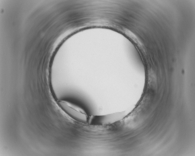 X0000087751334200706041052