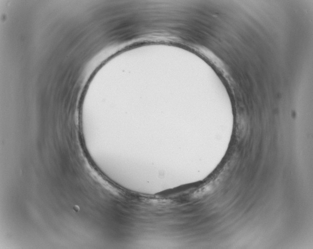 X0000087751335200706041052