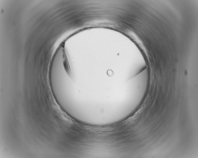 X0000087751336200706041052