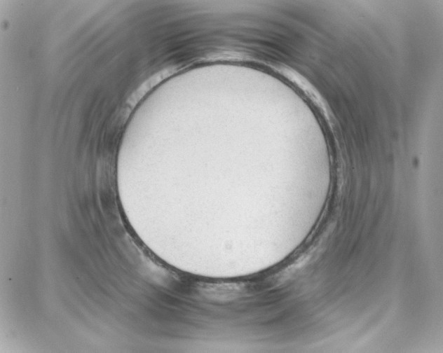 X0000087751337200706041052