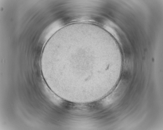 X0000087751338200706041052