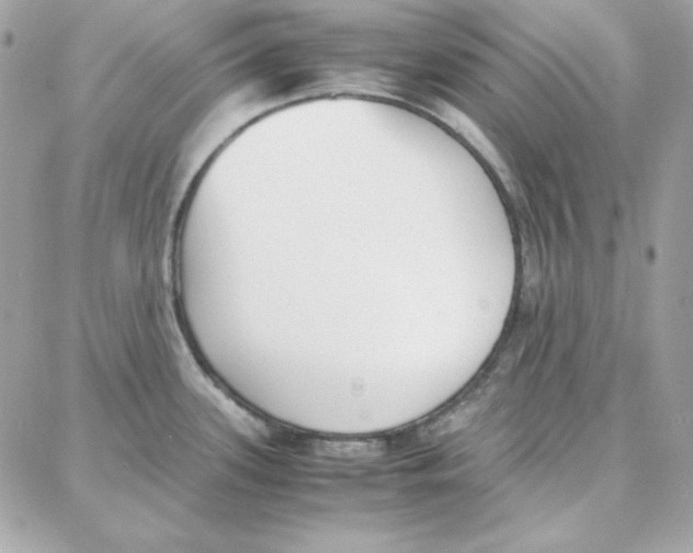 X0000087751339200706041052