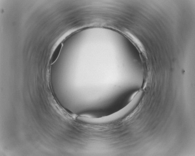 X0000087751340200706041052