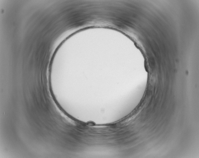 X0000087751343200706041052