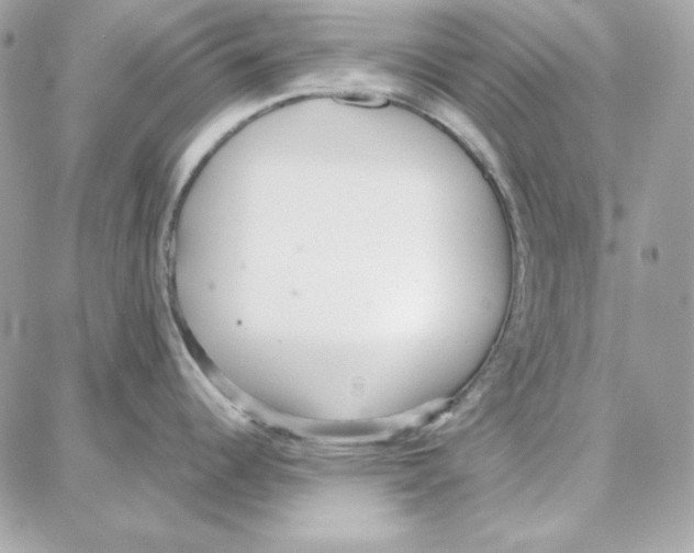 X0000087751344200706041052