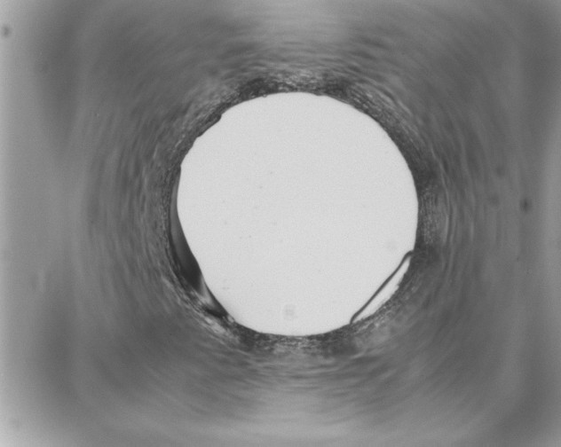 X0000087751345200706041051