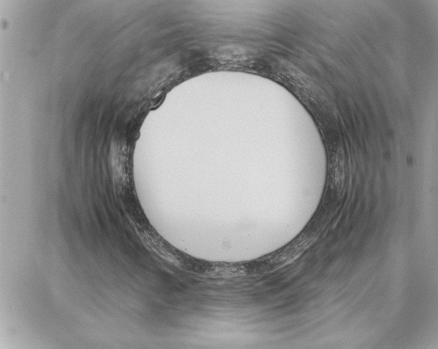 X0000087751346200706041051