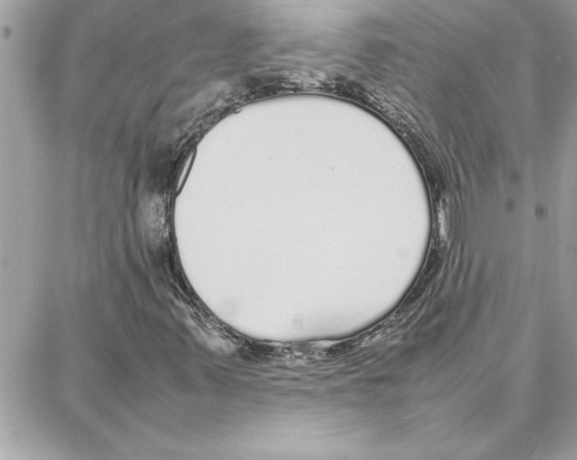 X0000087751347200706041051