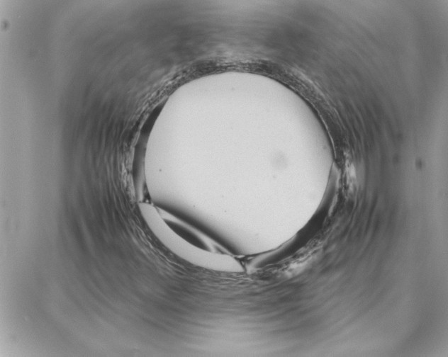 X0000087751348200706041051