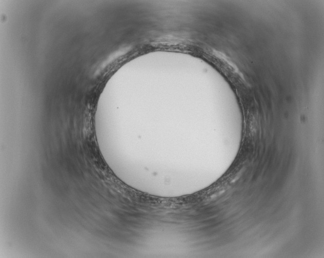 X0000087751350200706041051