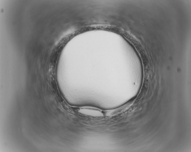 X0000087751351200706041051