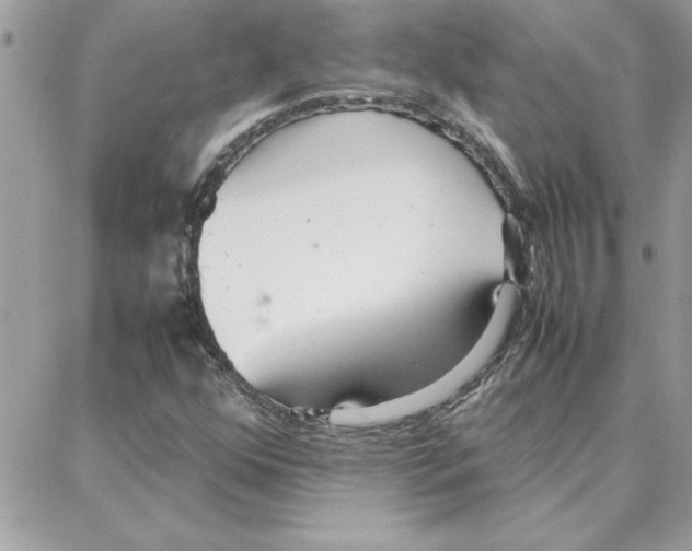 X0000087751352200706041051