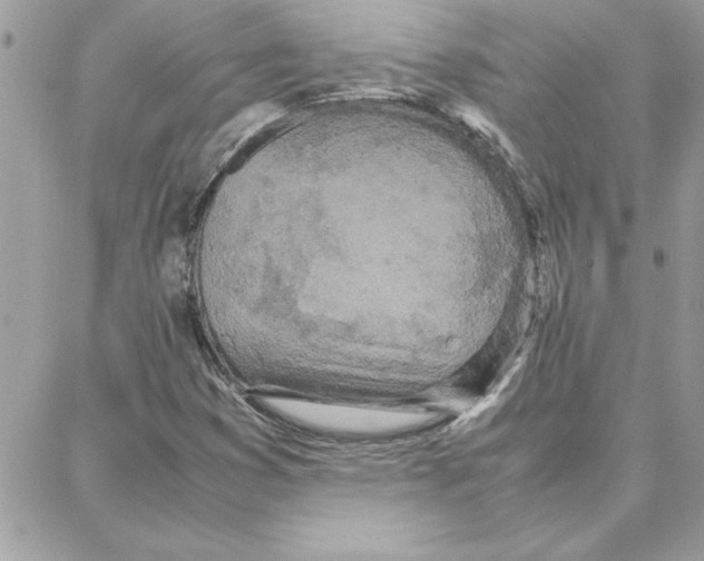 X0000087751353200706041051