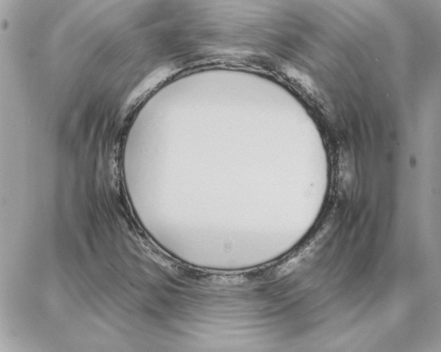 X0000087751354200706041051