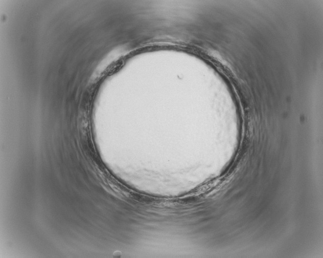 X0000087751355200706041051