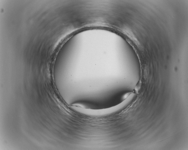 X0000087751356200706041051