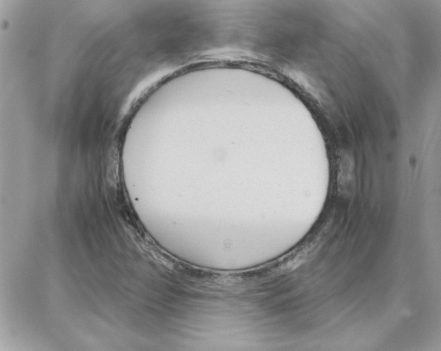 X0000087751358200706041051