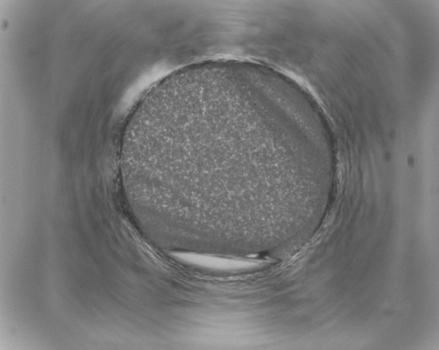 X0000087751359200706041051