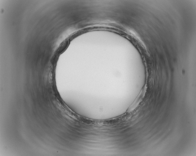 X0000087751360200706041051