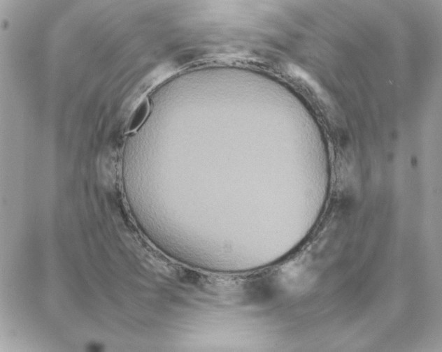 X0000087751361200706041051