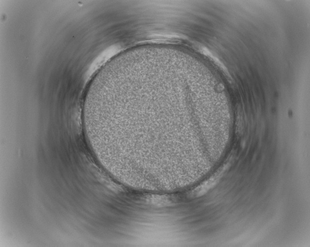 X0000087751362200706041051