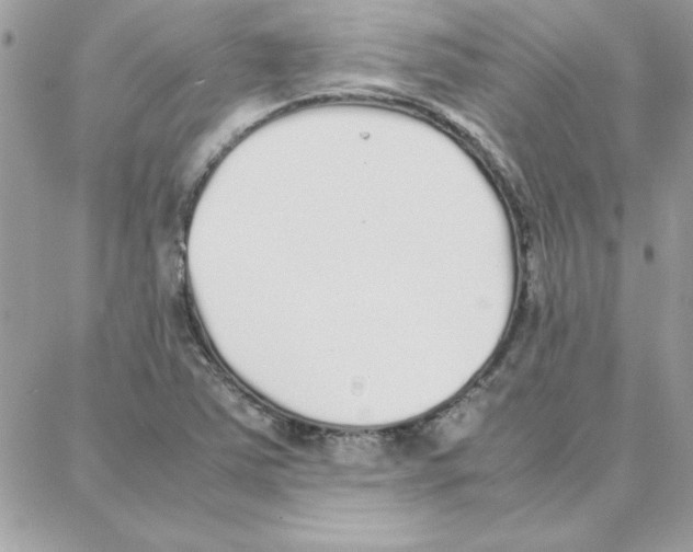 X0000087751363200706041051